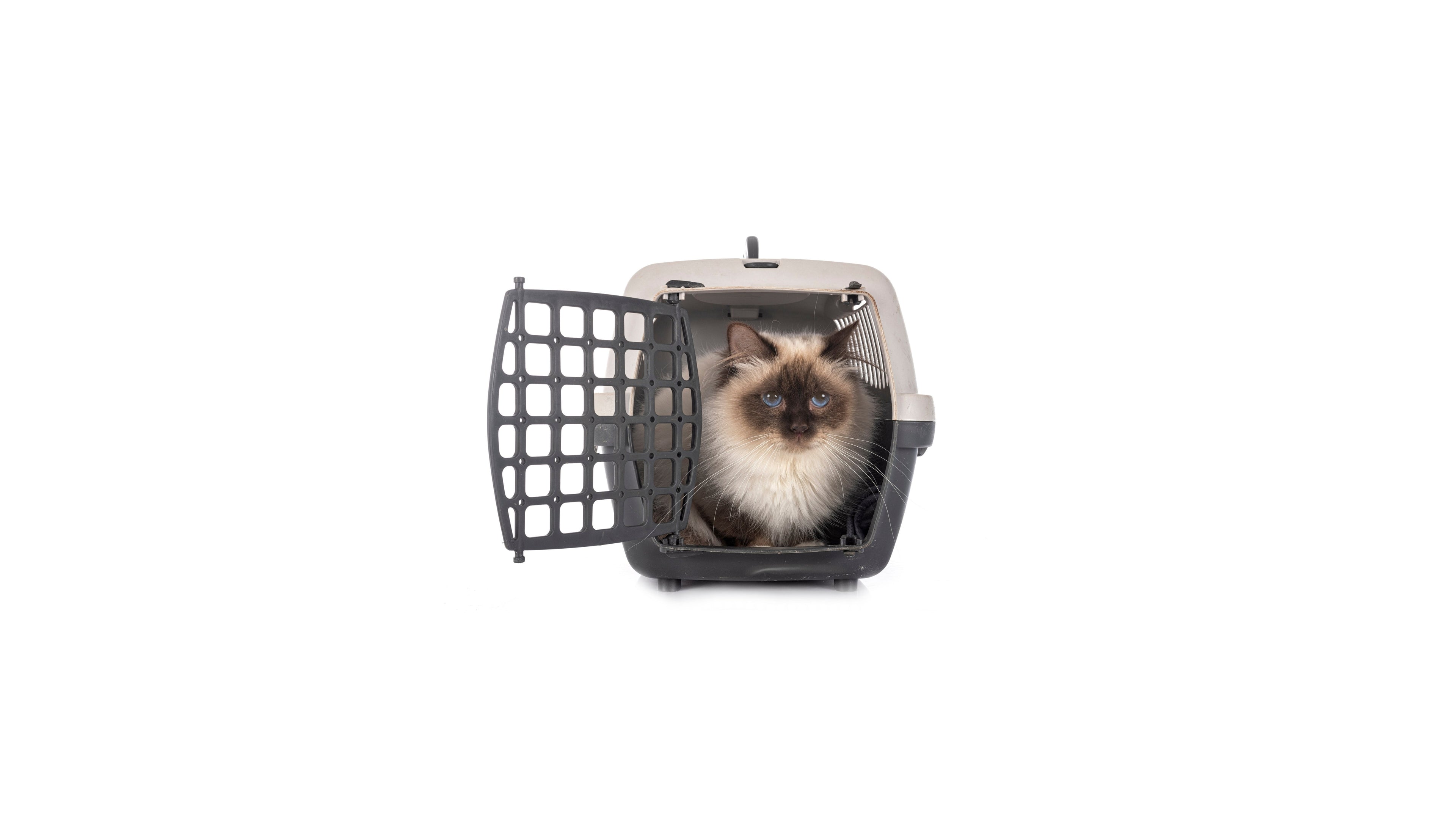 Cat Carriers & Crates