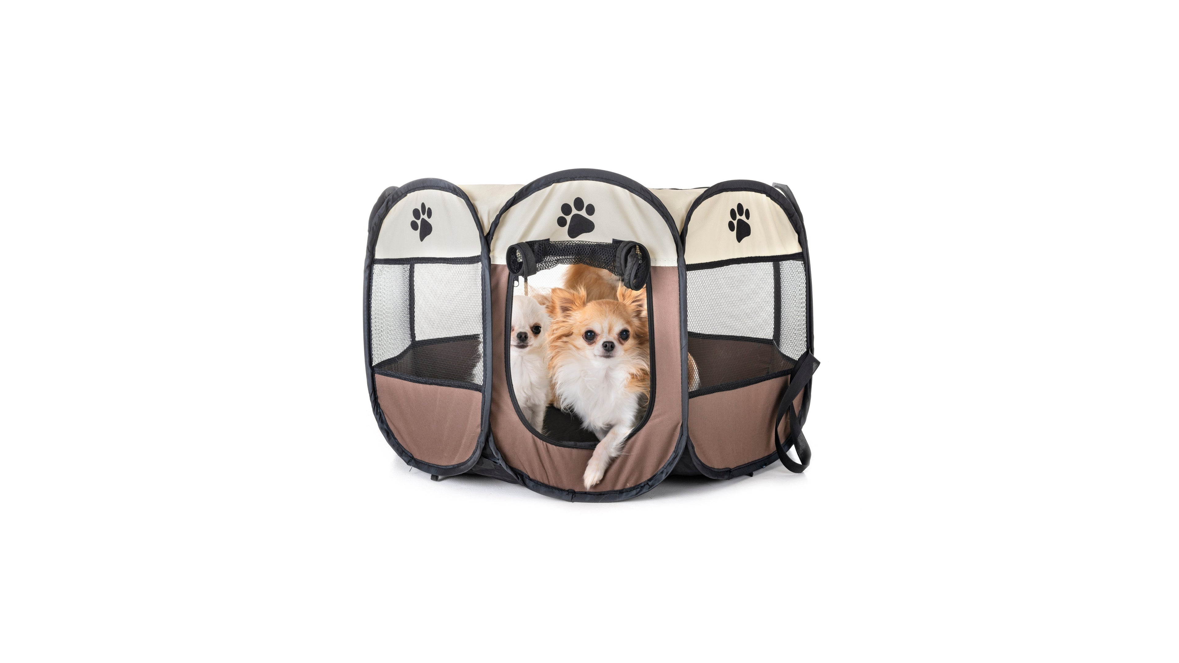 Dog Playpens & Gates