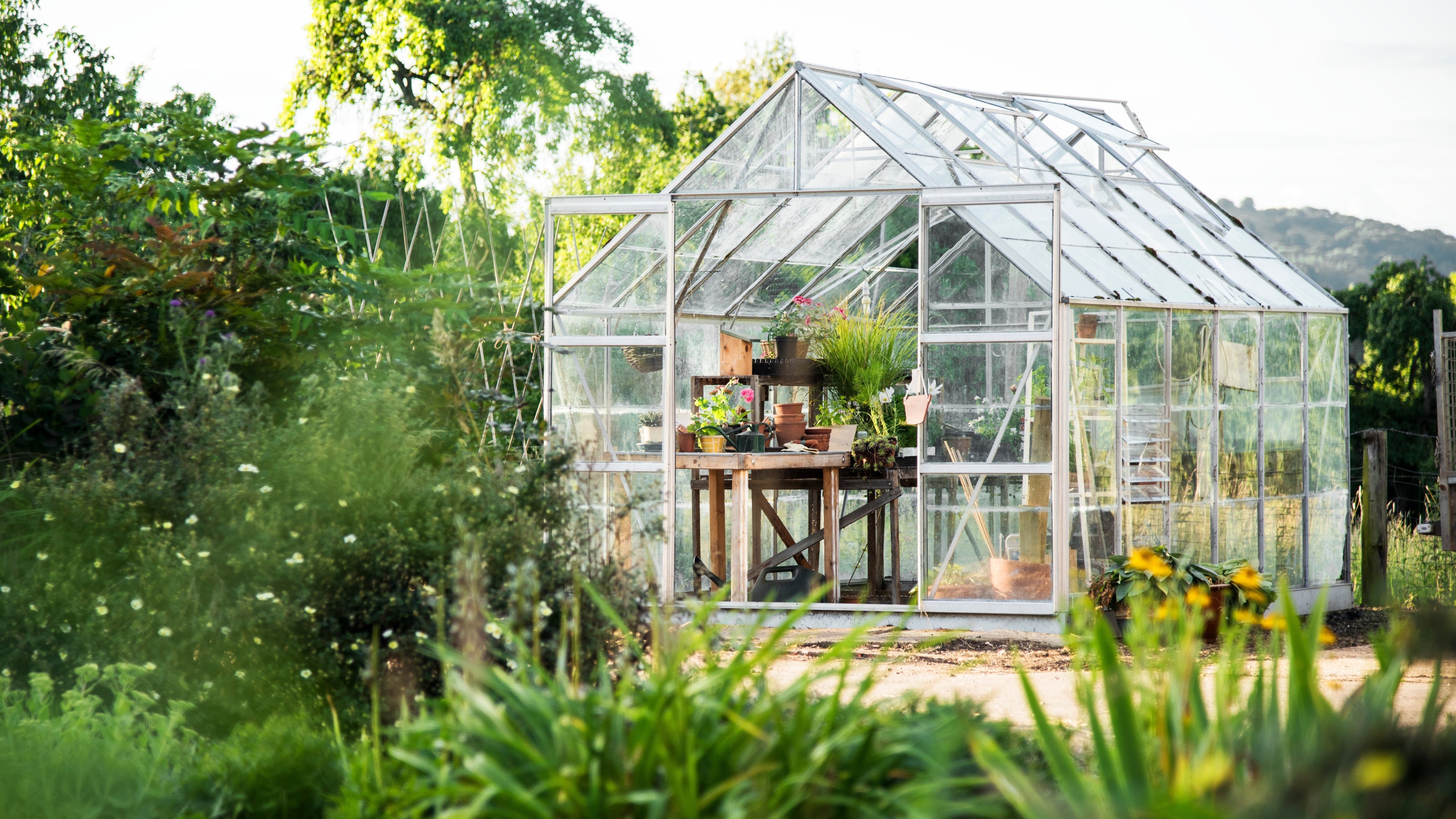 Greenhouses