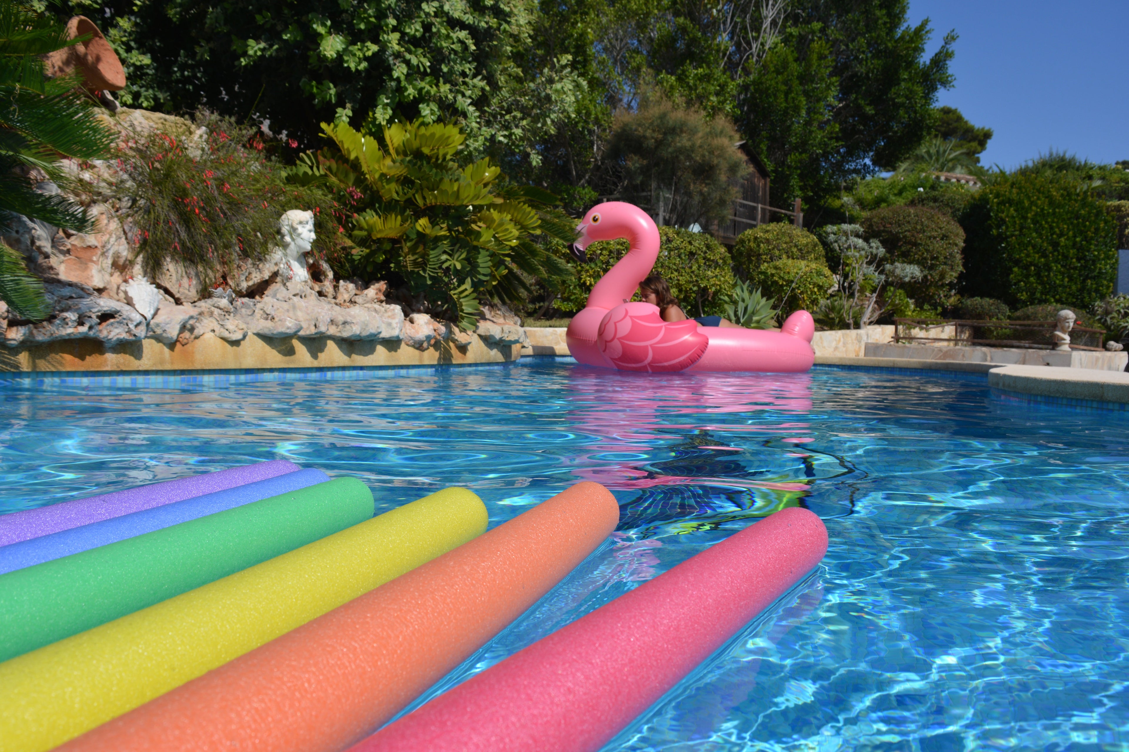 Pool Toys & Inflatables