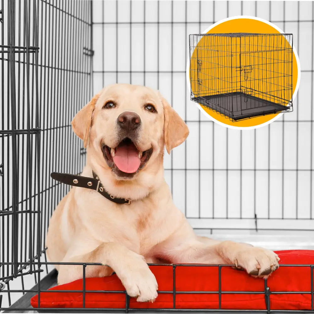 4Paws Dog Cage Pet Crate Cat Puppy Metal Cage ABS Tray Foldable Portable Black - 36’’ - Black - Pet Care > Cat
