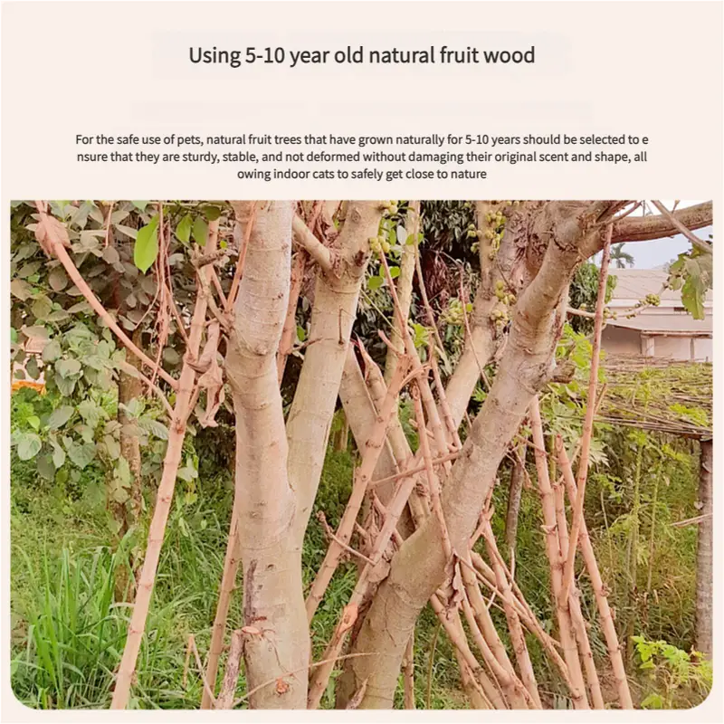 A Cat’s Dream Paradise: Natural Solid Wood Cat Climbing Frame - Pet Care > Cat Supplies > Cat Furniture