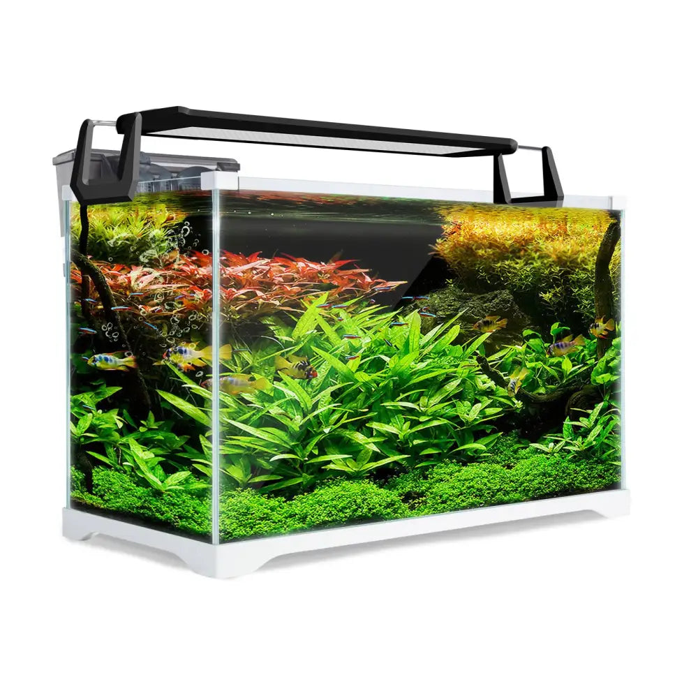 Aquarium Starfire Glass Fish Tank Set Filter Pump 39L - Pet Care > Aquarium > Aquariums