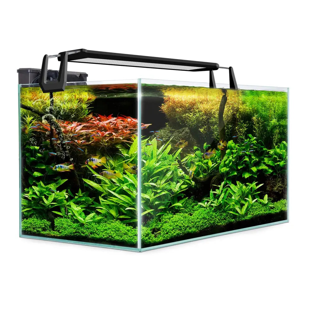 Aquarium Starfire Glass Fish Tank Set Filter Pump 70L - Pet Care > Aquarium > Aquariums