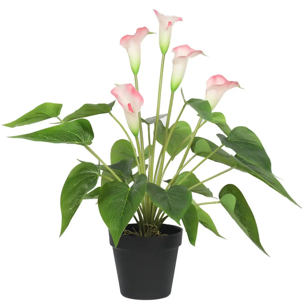 Artificial Flowering White & Pink Peace Lily / Calla Lily Plant 50cm - Home & Garden > Artificial Plants
