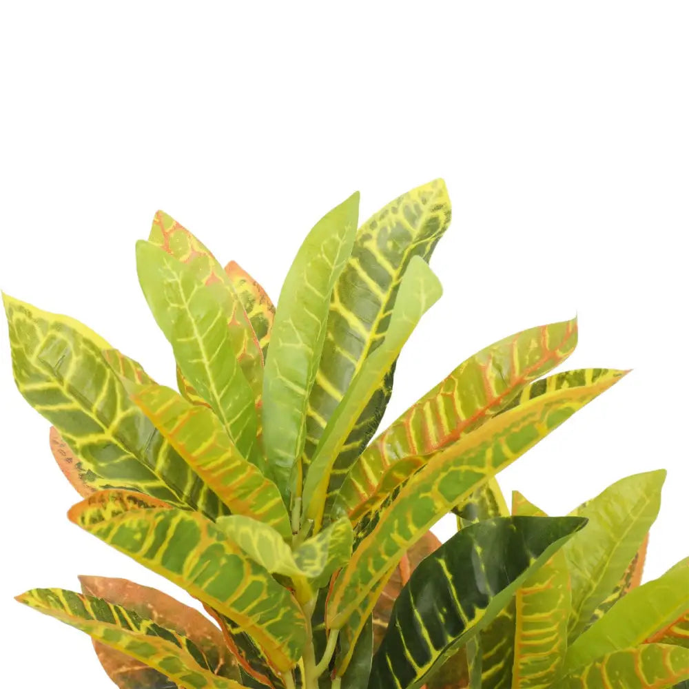 Artificial Potted Flaming Zebra (Codiaeum variegatum / crotons) 55cm - Home & Garden > Artificial Plants