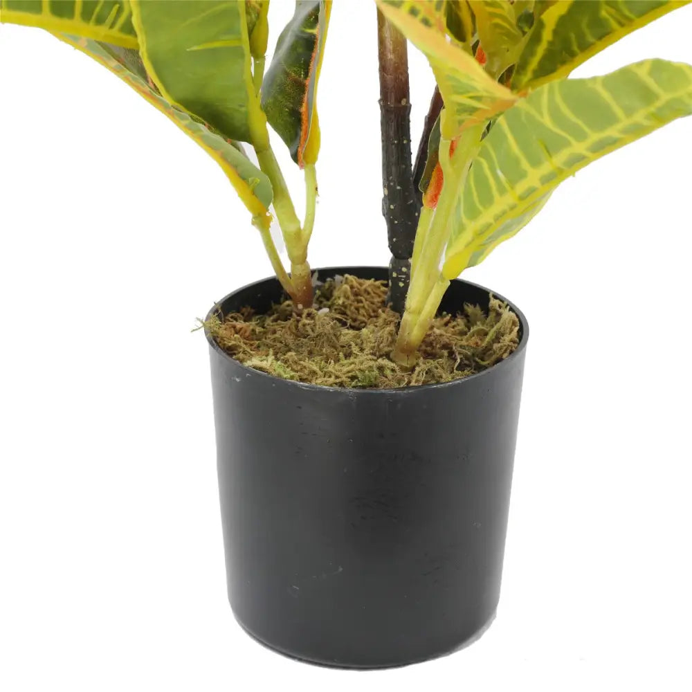 Artificial Potted Flaming Zebra (Codiaeum variegatum / crotons) 55cm - Home & Garden > Artificial Plants