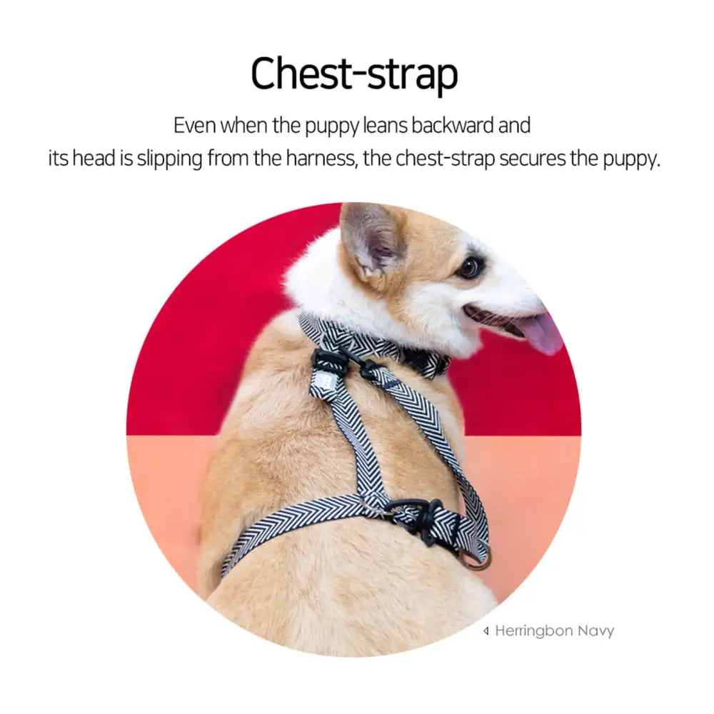 Dog Double-Lined Straps Harness Adjustable S SWEET GREEN - Pet Care > Dog Supplies > Dog Collars Leads & Harnesses