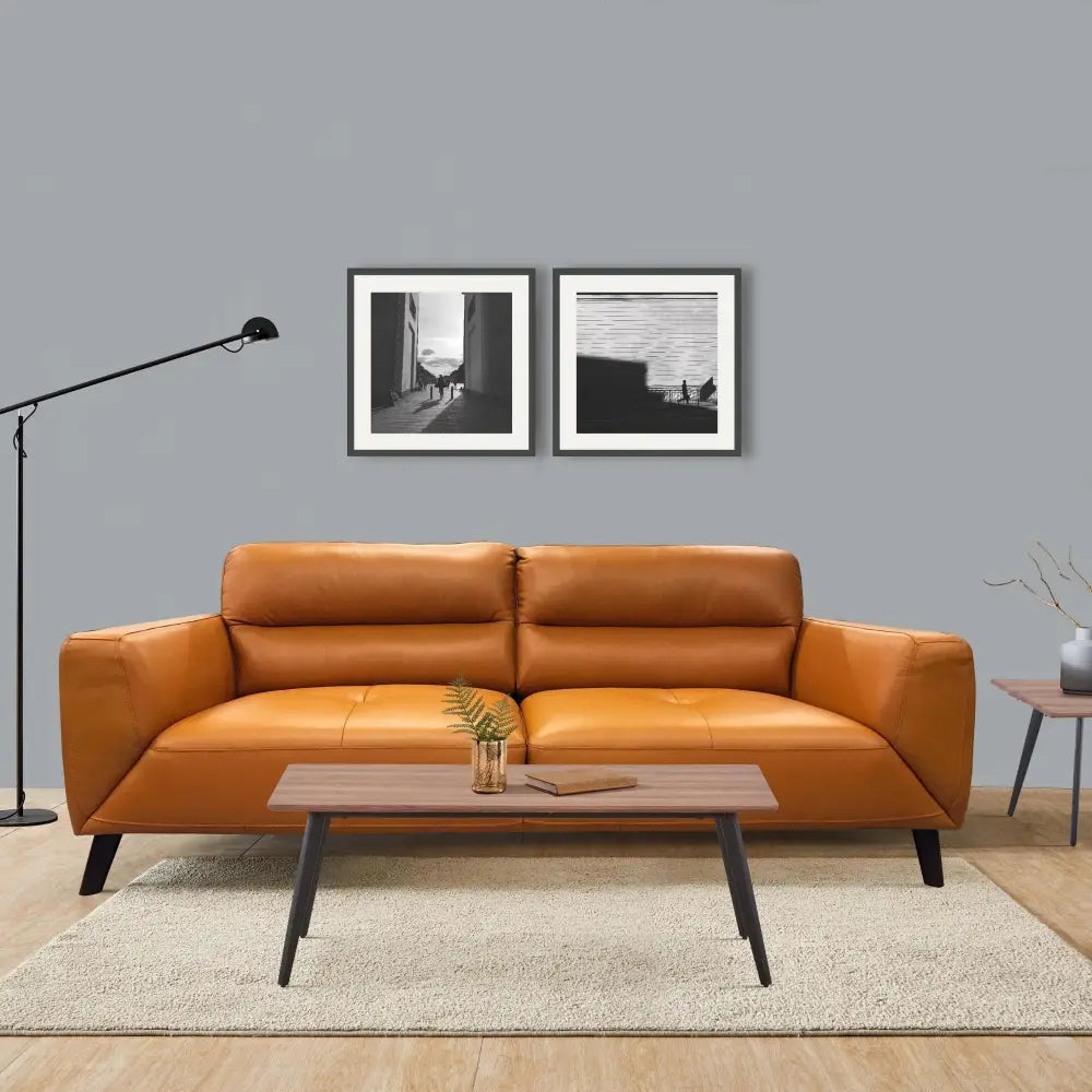 Downy Genuine Leather Sofa 2 Seater Upholstered Lounge Couch - Tangerine - Furniture > Sofas