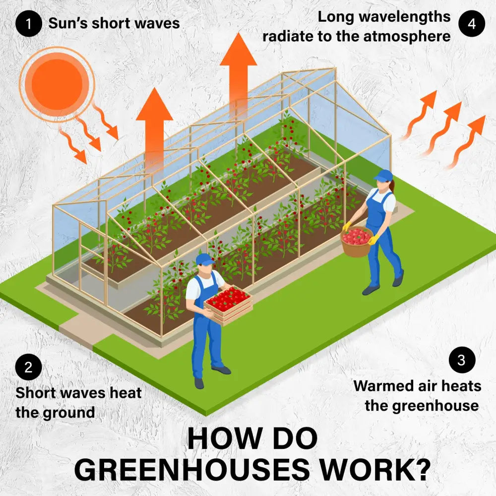 Garden Greenhouse Shed PE Cover Only 400cm Dome Tunnel - Home & Garden > Green Houses