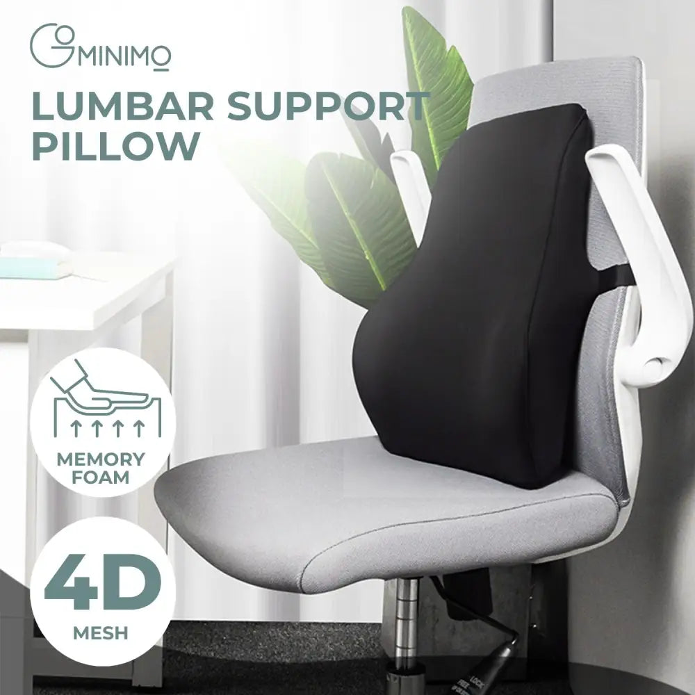 GOMINIMO Memory Foam Lumbar Support Pillow with Adjustable Dual Strap (Black) GO-LSP-101-JYM - Home & Garden > Decor
