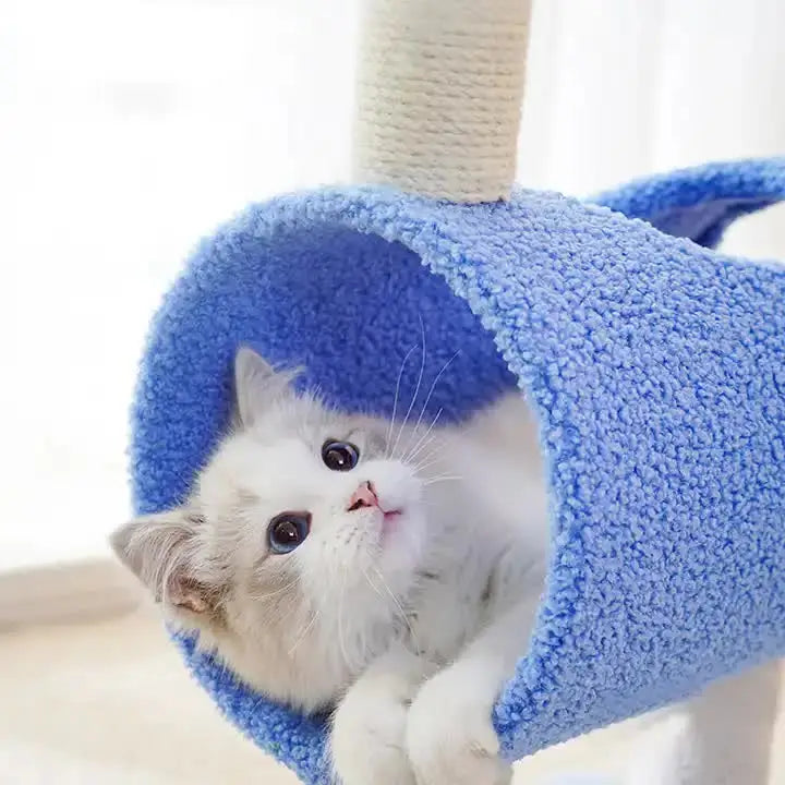 Interactive Cat Tunnel & Scratching Post with Spring Toy - Cozy Playtime for Kittens Blue - Pet Care > Cat Supplies >