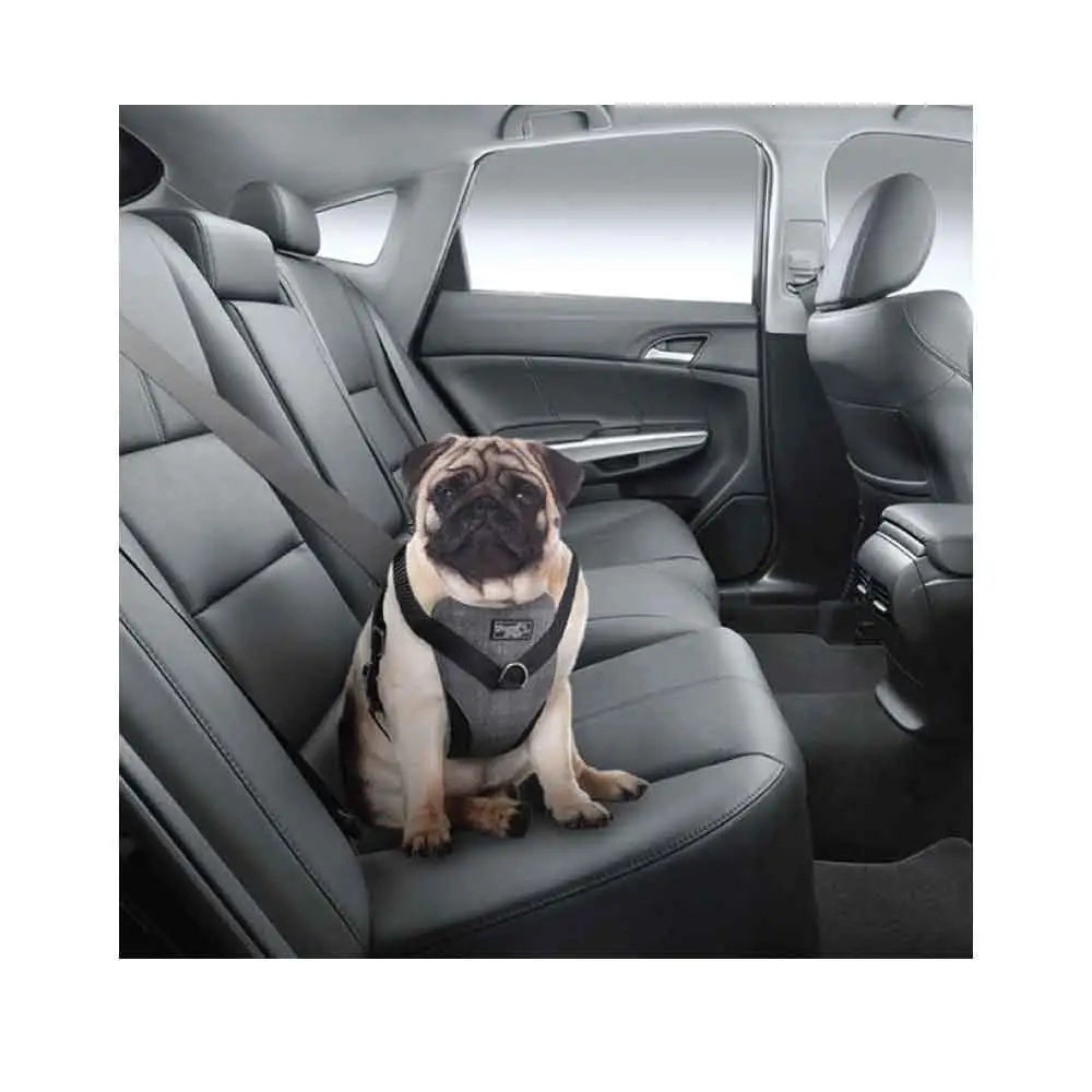 L Dog Harness 2 in 1 Combo - Car Travel Rides + Walks - No Pull Leash Seat Belt - Pet Care > Dog Supplies > Dog Collars