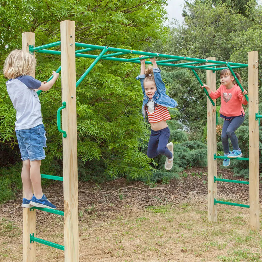 Lifespan Kids Amazon 2.5m Monkey Bar Set - Baby & Kids > Baby & Kid’s Toys > Outdoor Play Equipment