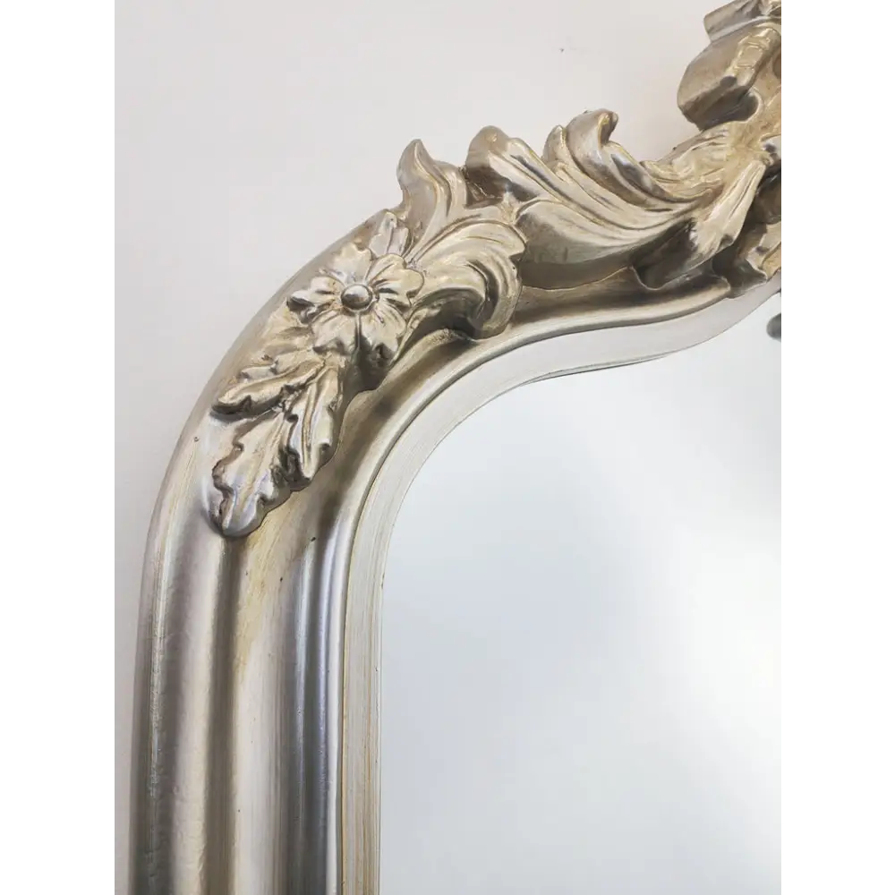 LUX Arch French Provincial Ornate Mirror - Antique Champagne - Home & Garden > Decor