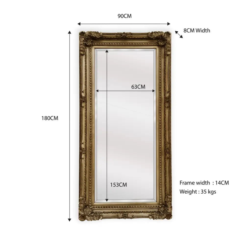 LUX French Provincial Ornate Mirror - Antique Champagne - Home & Garden > Decor