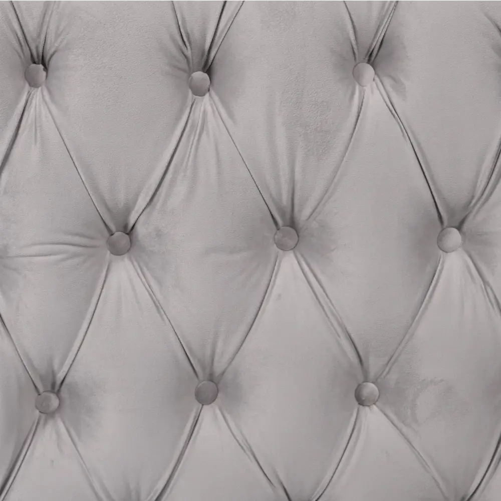 Madeline Range - Light Grey Velvet - Silver Trims - Furniture > Sofas