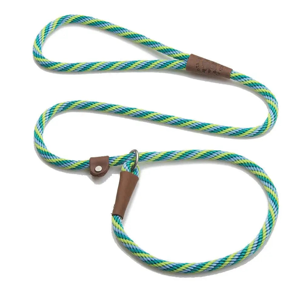 Mendota British Style Slip Leash - Length 1/2in x 4ft(13mm x 1.2m) - Twist - Seafoam - Pet Care > Dog Supplies > Dog