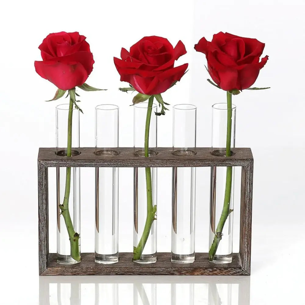 Minimalist Hydroponic Glass Vase with Wooden Frame for Coffee Shop Decor - Home & Garden > Decor > Vases & Table Decor