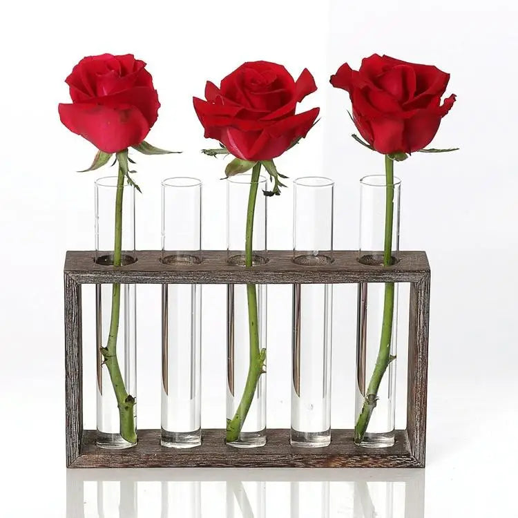 Minimalist Hydroponic Glass Vase with Wooden Frame for Coffee Shop Decor - Home & Garden > Decor > Vases & Table Decor