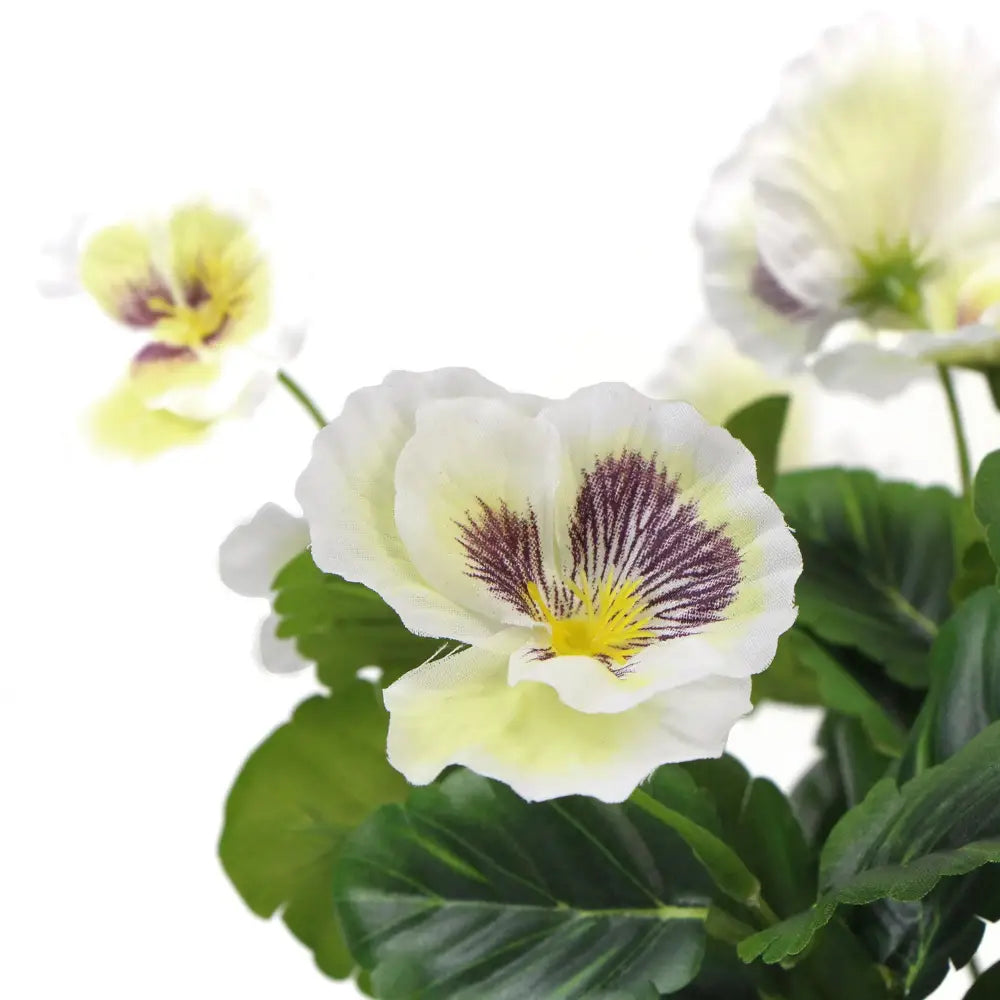 Mixed White Flowering Potted Artificial Pansy Plants 25cm - Home & Garden > Artificial Plants