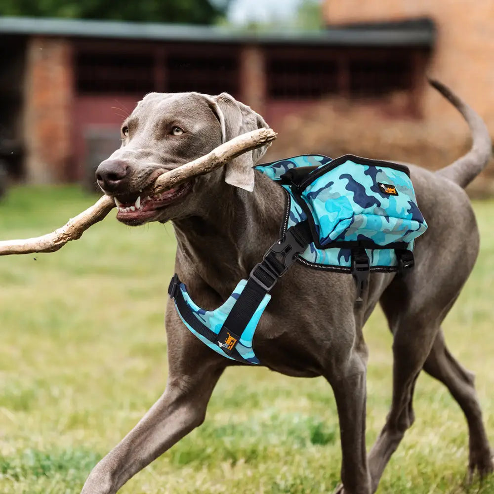Ondoing Dog Backpack Harness Pet Saddle Bag Reflective Adjustable Outdoor Hiking-L-Camo Blue - Pet Care > Cat Supplies