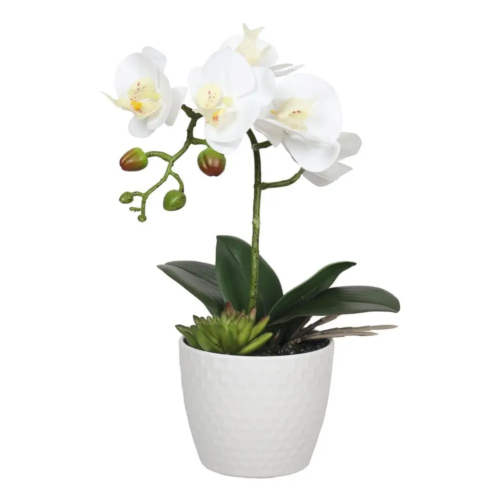 Potted Single Stem White Phalaenopsis Orchid with Decorative Pot 35cm - Home & Garden > Artificial Plants