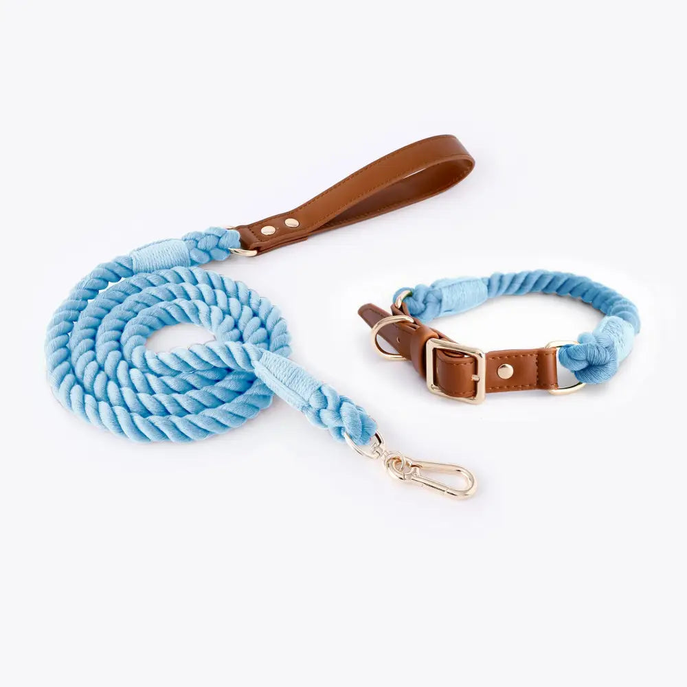 Premium Leather Pet Collar and Leash - Soft Strong Braided Rope (Sky blue - Size L) - Pet Care > Dog Supplies > Dog