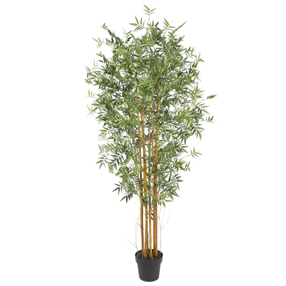 Premium Natural Cane Artificial Bamboo (UV Resistant) 180cm - Home & Garden > Artificial Plants