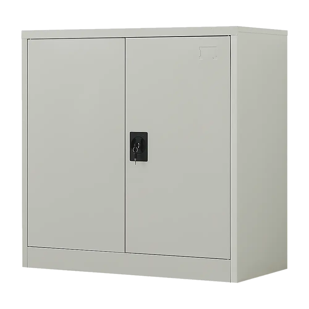 Two-Door Metal Short Cabinet Shelf Storage for Home Office Gym - Furniture > Office