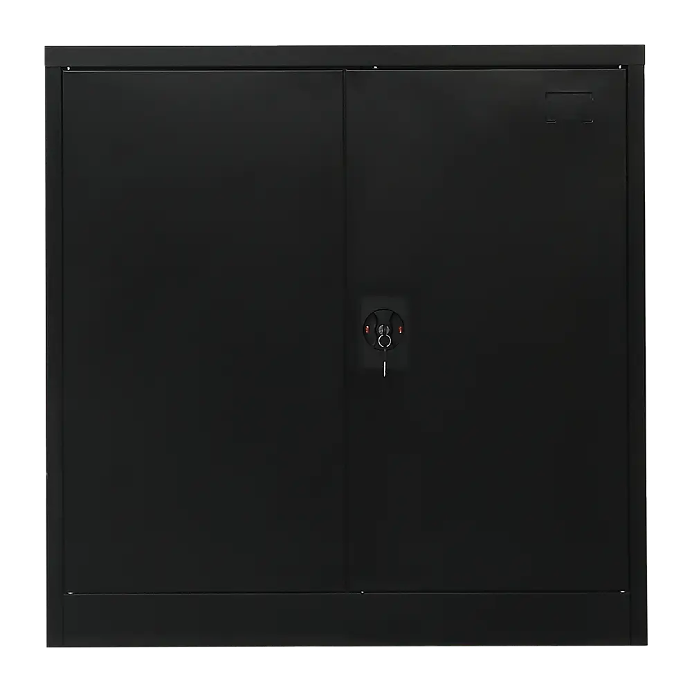 Two-Door Metal Short Cabinet Shelf Storage for Home Office Gym - Furniture > Office