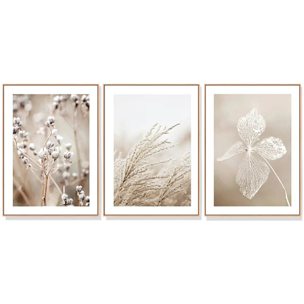 Wall Art 40cmx60cm Dried Flower 3 Sets Wood Frame Canvas - Home & Garden > Wall Art
