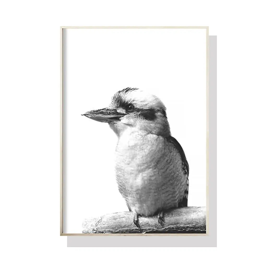 Wall Art 40cmx60cm Kookaburra Black Frame Canvas - Home & Garden > Wall Art