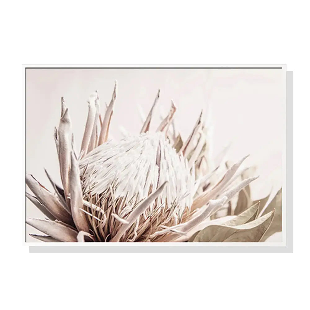 Wall Art 40cmx60cm Pure Protea II White Frame Canvas - Home & Garden > Wall Art