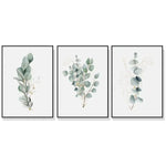 Wall Art 70cmx100cm Eucalyptus Plant 3 Sets Black Frame Canvas - Home & Garden > Wall Art