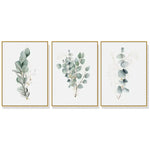 Wall Art 70cmx100cm Eucalyptus Plant 3 Sets Gold Frame Canvas - Home & Garden > Wall Art