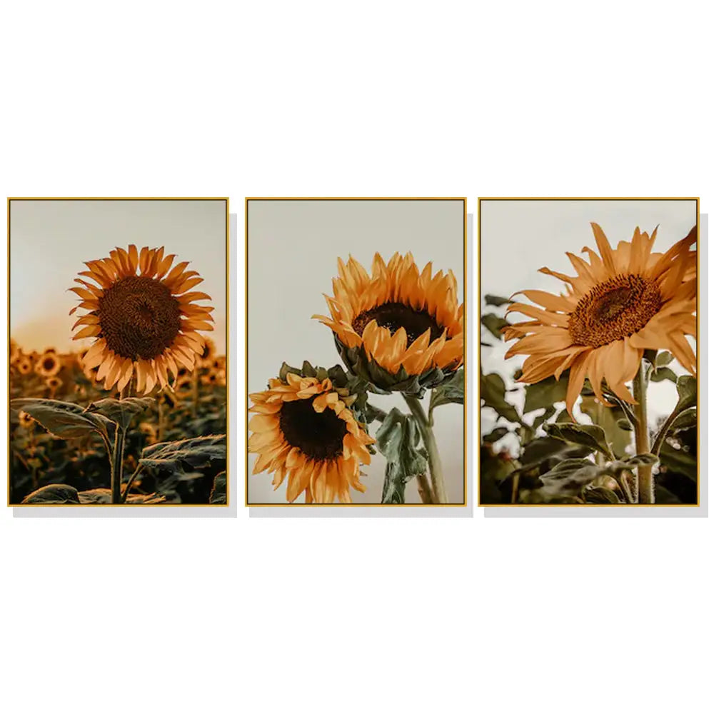 Wall Art 80cmx120cm Sunflower 3 Sets Gold Frame Canvas - Home & Garden > Wall Art