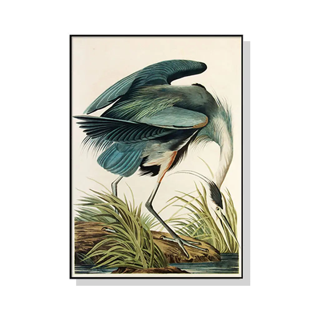 Wall Art 90cmx135cm Great Blue Heron By John James Audubon Black Frame Canvas - Home & Garden > Wall Art