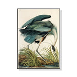 Wall Art 90cmx135cm Great Blue Heron By John James Audubon Black Frame Canvas - Home & Garden > Wall Art