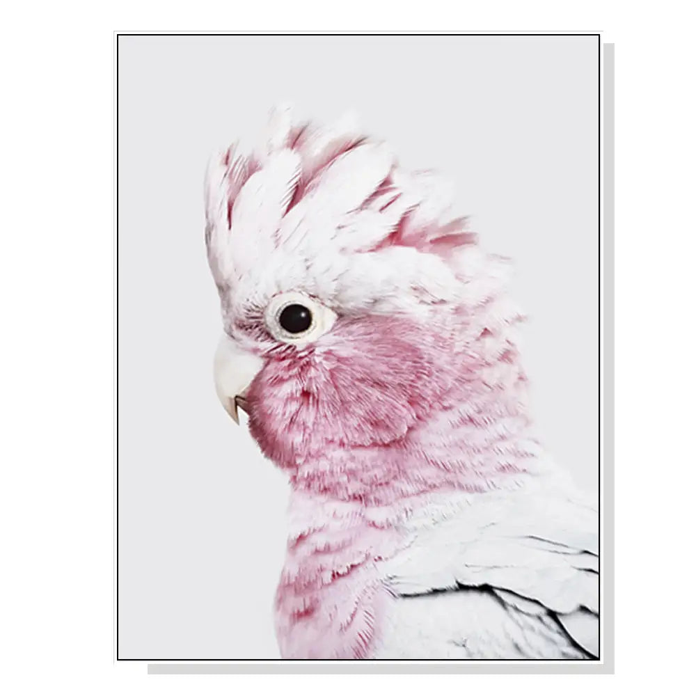 Wall Art 90cmx135cm Pink Galah White Frame Canvas - Home & Garden > Wall Art
