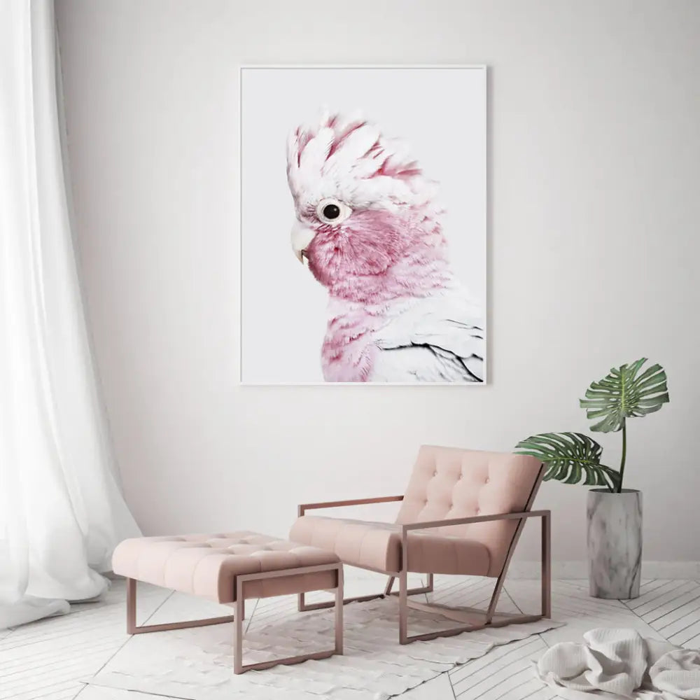 Wall Art 90cmx135cm Pink Galah White Frame Canvas - Home & Garden > Wall Art