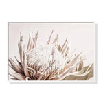 Wall Art 90cmx135cm Pure Protea II White Frame Canvas - Home & Garden > Wall Art