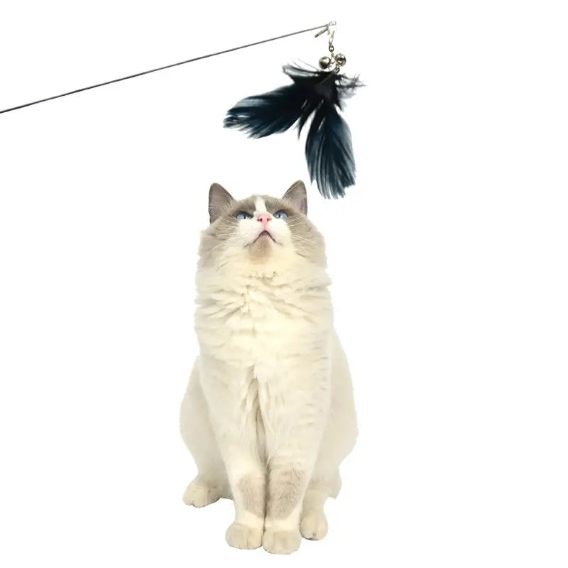 YES4PETS 2 X Pet Cat Toys Retractable Feathers Teaser Cat Stick Interactive Play - Pet Care > Toys > Cat Toys