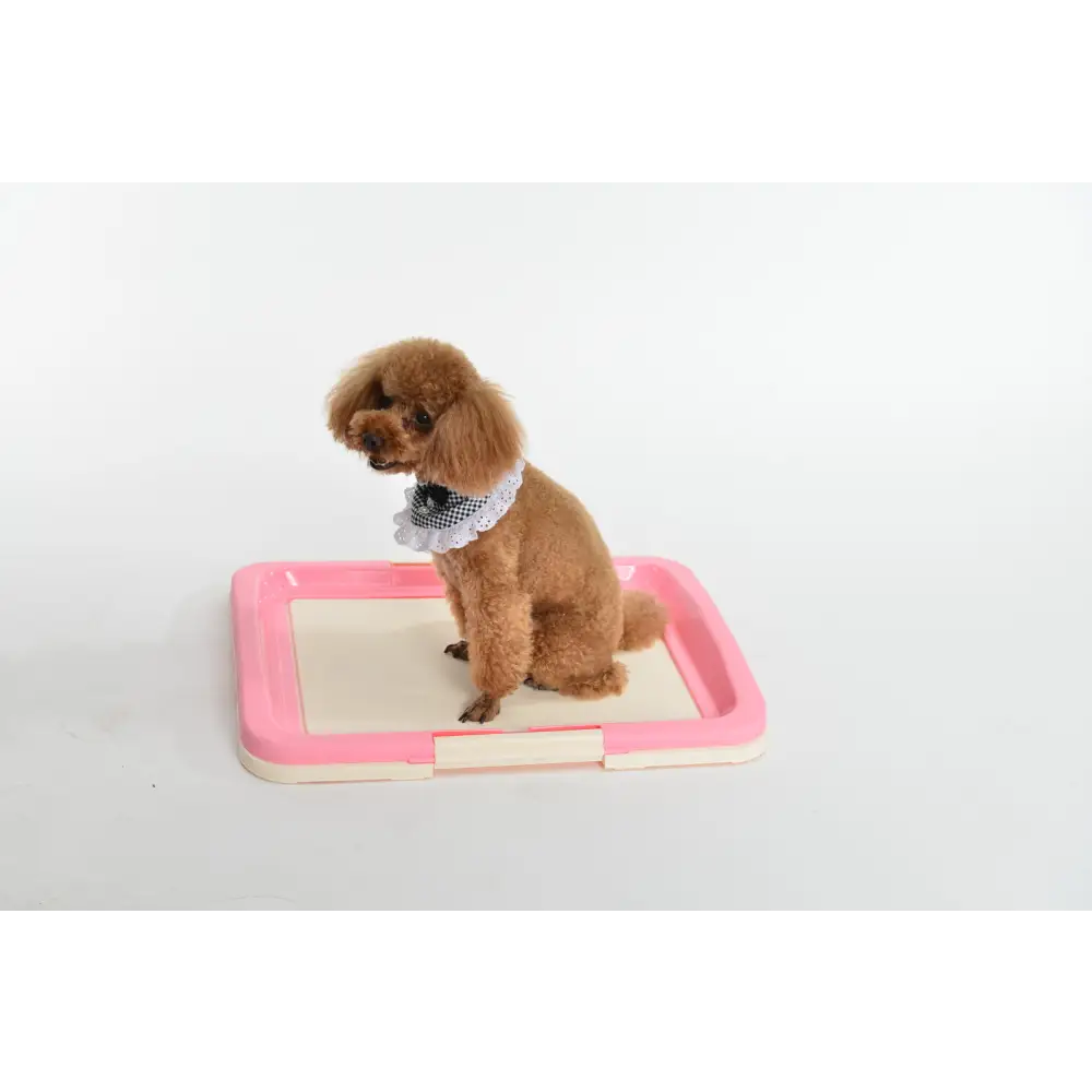 YES4PETS Large Portable Dog Potty Training Tray Pet Puppy Toilet Trays Loo Pad Mat Pink - Pet Care > Dog Supplies > Dog
