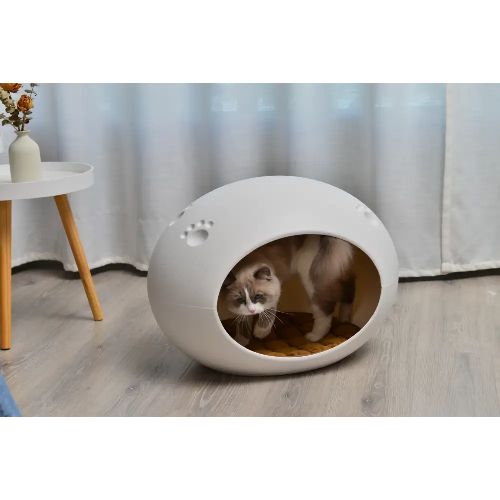 YES4PETS Medium Cave Cat Kitten Box Igloo Cat Bed House Dog Puppy House White - Pet Care > Cat Supplies > Cat Furniture