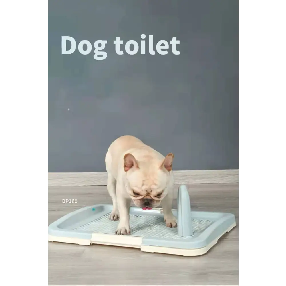 YES4PETS Medium Portable Dog Potty Training Tray Pet Puppy Toilet Trays Loo Pad Mat Blue - Pet Care > Dog Supplies >
