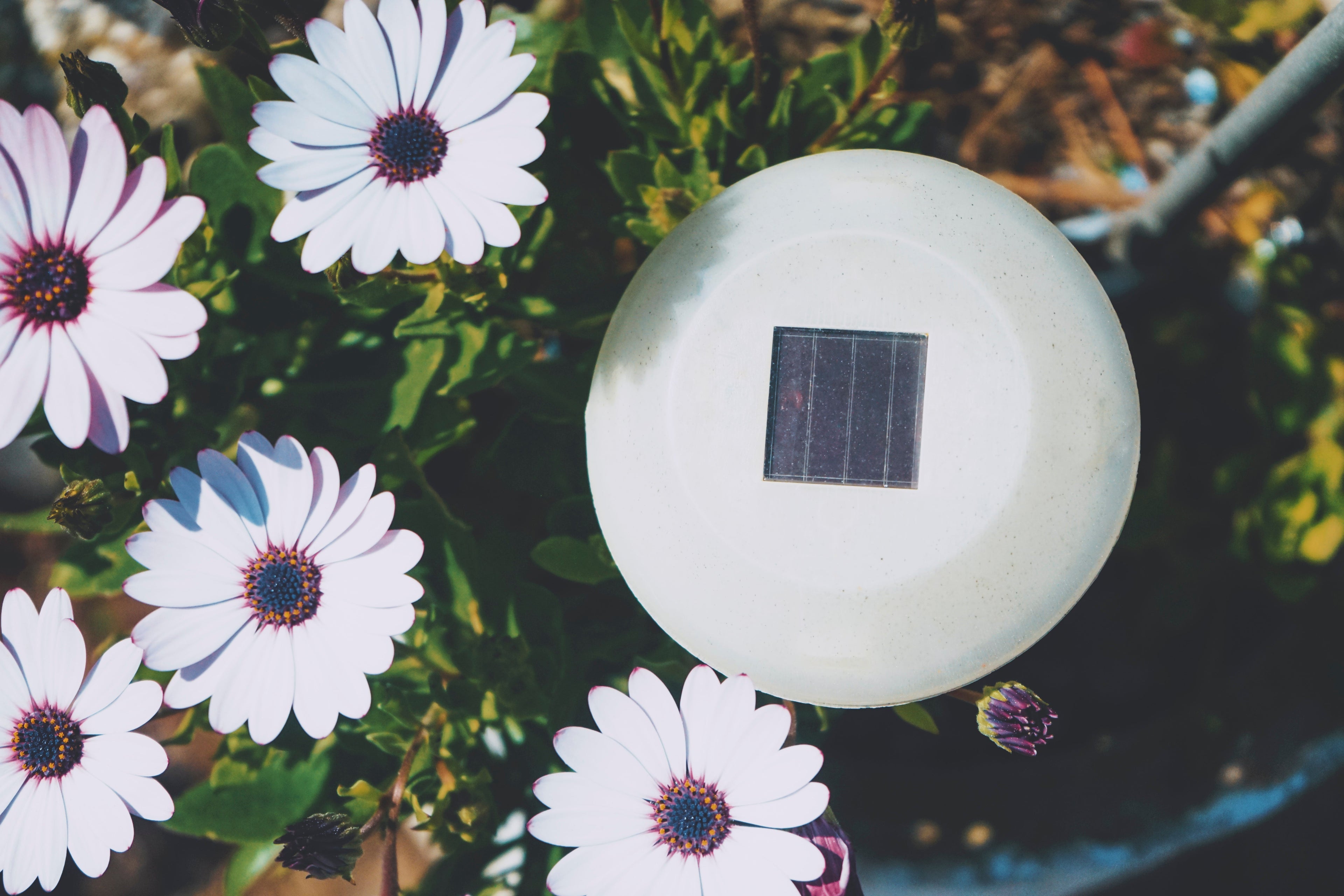 Solar Lights