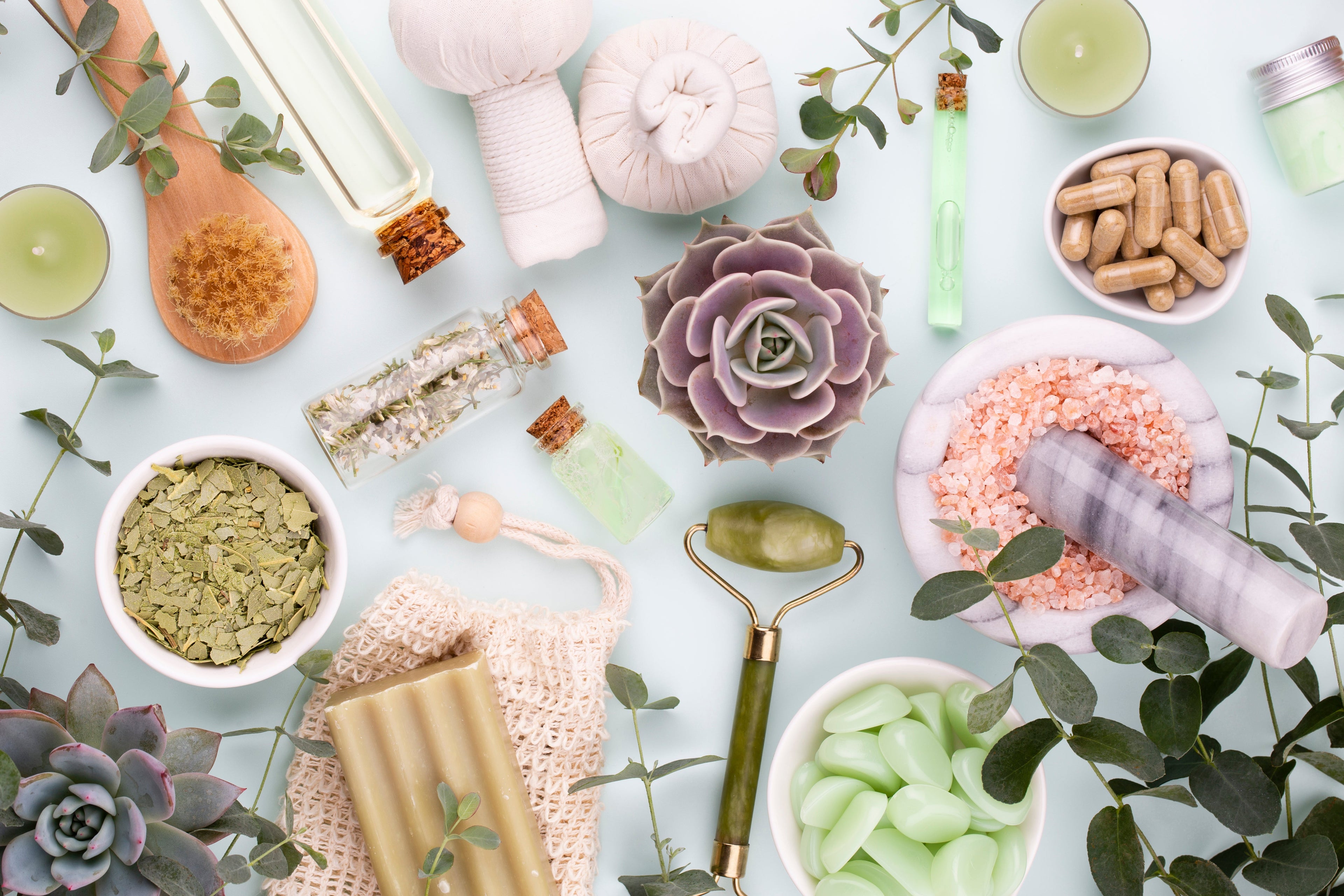 Self-Care & Wellness