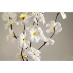 1 Set of 50cm H 20 LED White Frangipani Tree Branch Stem Fairy Light Wedding Event Party Function Table Vase