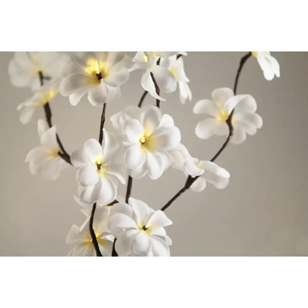 1 Set of 50cm H 20 LED White Frangipani Tree Branch Stem Fairy Light Wedding Event Party Function Table Vase